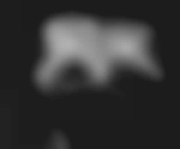 Blurry Entangled Photography