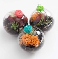 Upcycled Ornament Planters Image 2