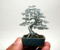 Miniscule Wire Bonsai Replicas Image 4