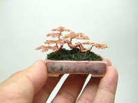 Miniscule Wire Bonsai Replicas Image 7