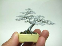 Miniscule Wire Bonsai Replicas Image 8