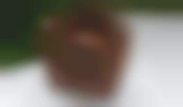 Edible Chocolate Cameras