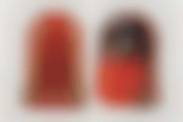 Sophisticated Photographer Packs