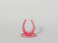 Animal Ear Decor Image 4