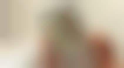 Transparent Touchscreens