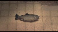 Explosively Analogous Music Videos Image 6