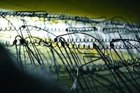 Peculiar Love Letter Installations Image 5