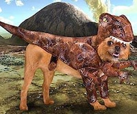 Prehistoric Puppy Outfits