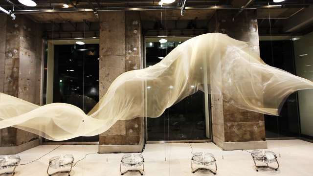 Veiled Wave Installations