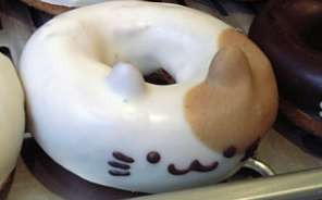 14 Delectably Delicious Donuts