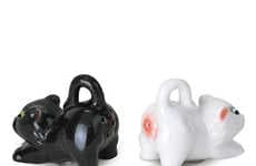 Cheeky Kitten Seasoning Shakers