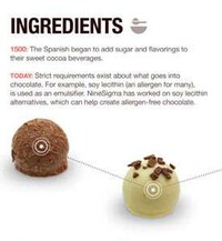 Historical Chocolate Infographics Image 3