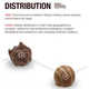 Historical Chocolate Infographics Image 4