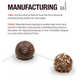 Historical Chocolate Infographics Image 5