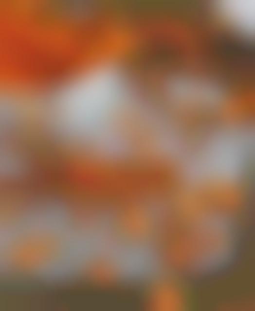 28 Examples of Vegetable Chips