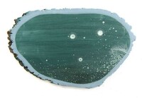 Tree Trunk Canvases Image 4