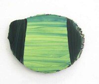 Tree Trunk Canvases Image 5