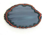 Tree Trunk Canvases Image 6