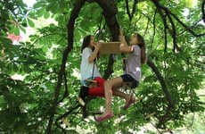 Eco-Friendly Mobile Picnics