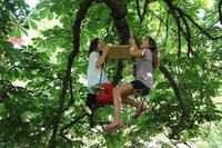 Eco-Friendly Mobile Picnics