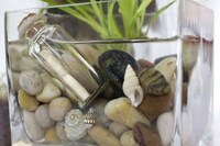 Eco-Friendly Aquarium Gifts