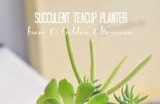 Tiny Teacup Planters