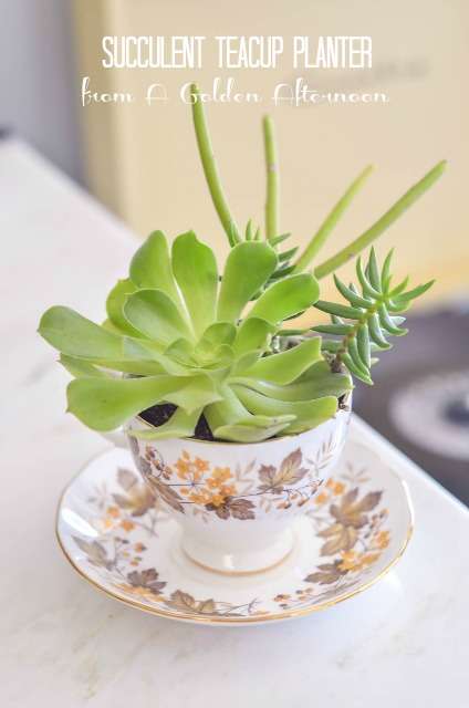 Tiny Teacup Planters