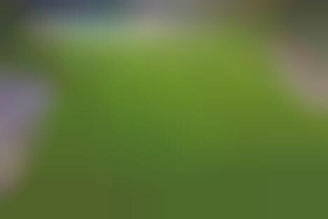Realistic Artificial Lawns