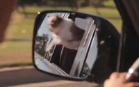 Chip-Gripping Canine Commercials Image 8
