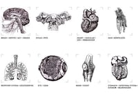 Illustrated Pill Packaging Image 8
