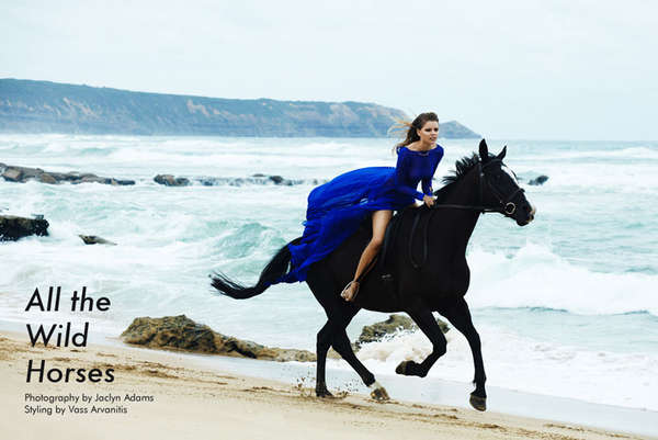 24 Captivating Horse Photos