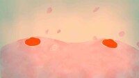Orient Hallucinatory Animations Image 5