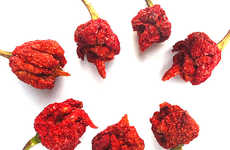 Fiery Hot Dried Peppers