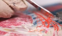 Paint-Scraped Skateboard Decks Image 8