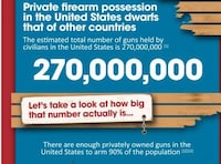Firearm Focused Infographics Image 2