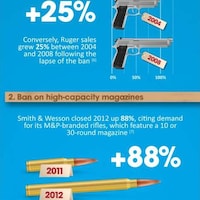Firearm Focused Infographics Image 6