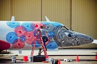Exquisite Airplane Makeovers Image 2