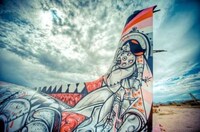 Exquisite Airplane Makeovers Image 6
