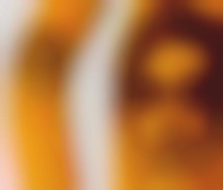 Pinned Fruit Portraits