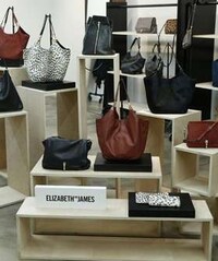 Affordable Celebrity Accessories Image 2