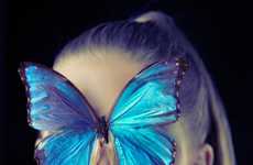 Illuminated Insect Editorials