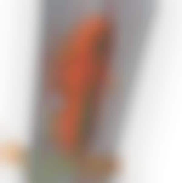 Enhanced Robot Insects (UPDATE)