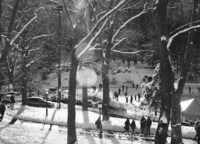 Post-Storm Snapshots Image 2