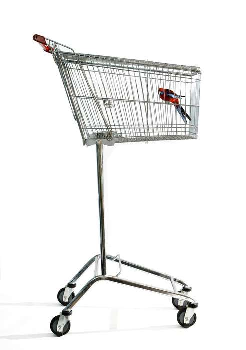 12 Shopping Cart Art Creations