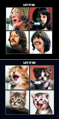 Classic Album Kitten Takeovers Image 2