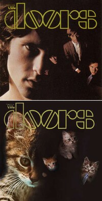 Classic Album Kitten Takeovers Image 3
