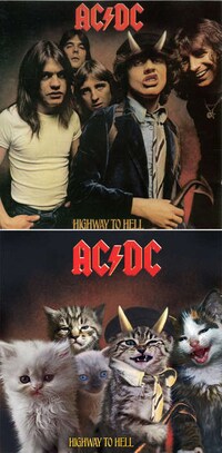Classic Album Kitten Takeovers Image 4