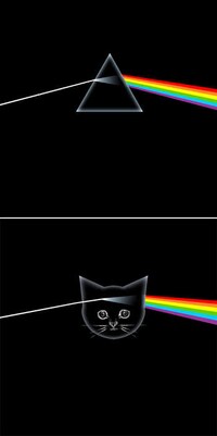 Classic Album Kitten Takeovers Image 7