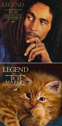 Classic Album Kitten Takeovers Image 8