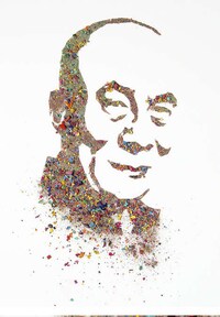 Iconic Debris Portraits Image 2